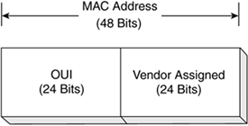 1. another acronym for mac address is the bia