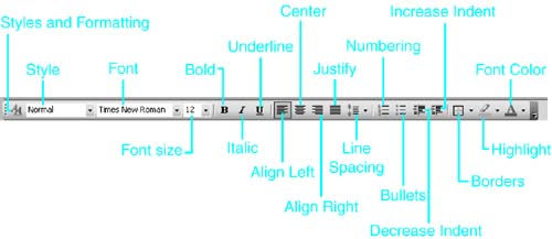 Introducing Font Formatting Chapter 4 Quick And Effective 